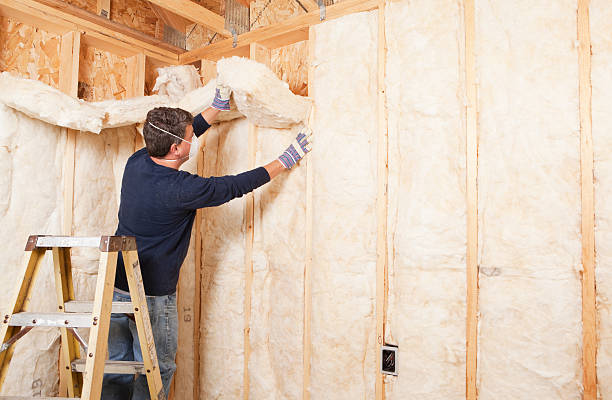 Best Crawl Space Insulation in Dunnellon, FL