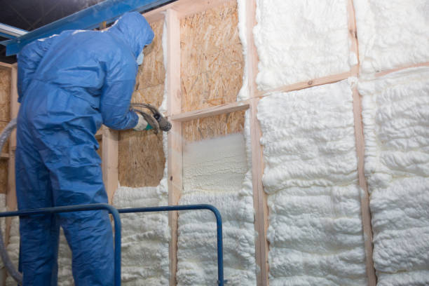  Dunnellon, FL Insulation Removal & Installation Pros